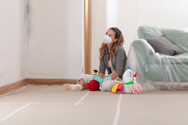 Reliable Mold Testing contractor in Grimesland, NC by WQB Mold Removal